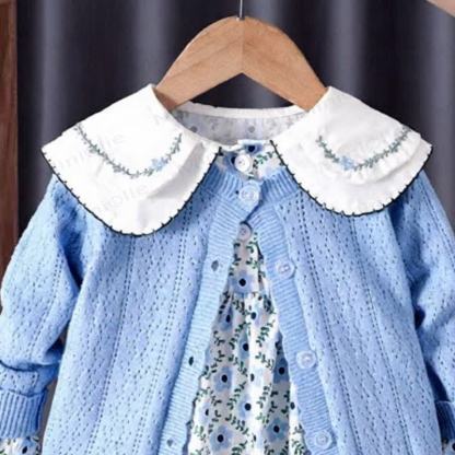 Toddler Girl Blue Floral Dress and Cardigan 2-piece Set - image 2