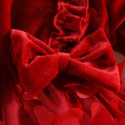 Baby Girl Velvet Butterfly Tulle Dress - image 9