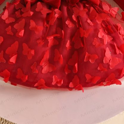 Baby Girl Velvet Butterfly Tulle Dress - image 10