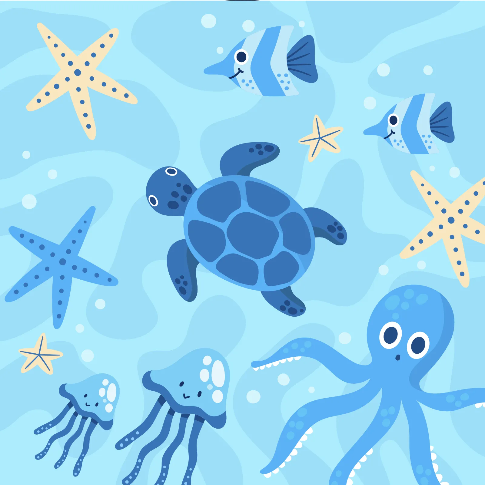 Marine Animals🐟