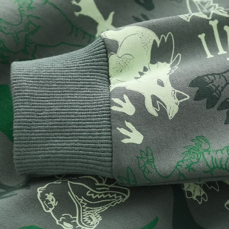Kid Boy Dinosaurs Grey Green Sweatshirt - image 5