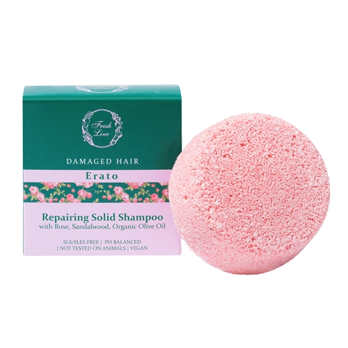 ERATO Repairing Solid Shampoo
