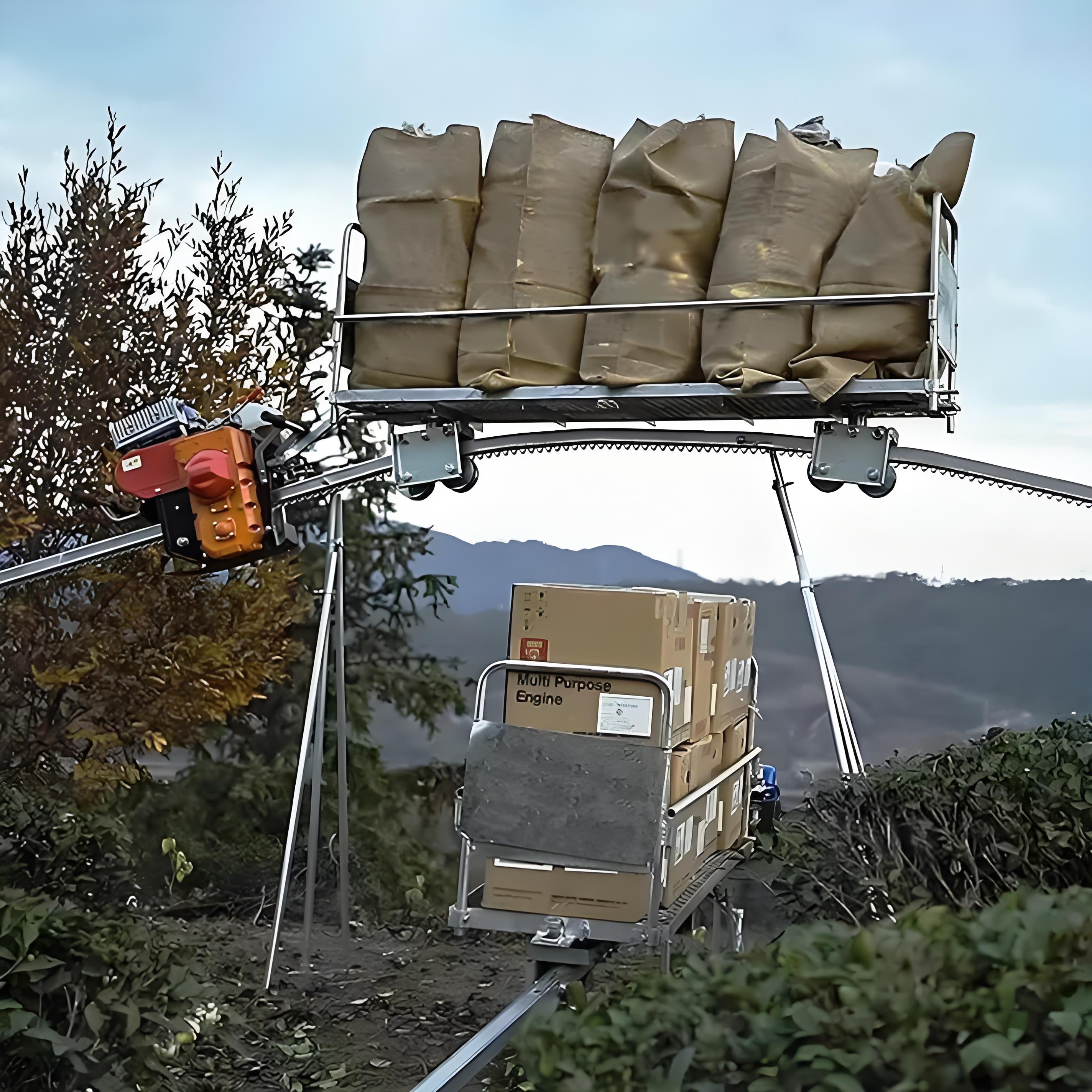 Single track transport vehicle