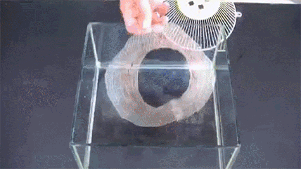 1608362338789925.gif