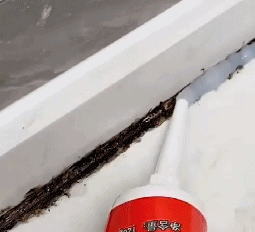 40b8a75518a874086c913d381c71ee90.gif