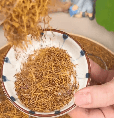 Honeycam 2025-06-18 16-33-50.gif