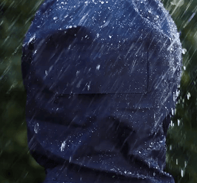 02.gif