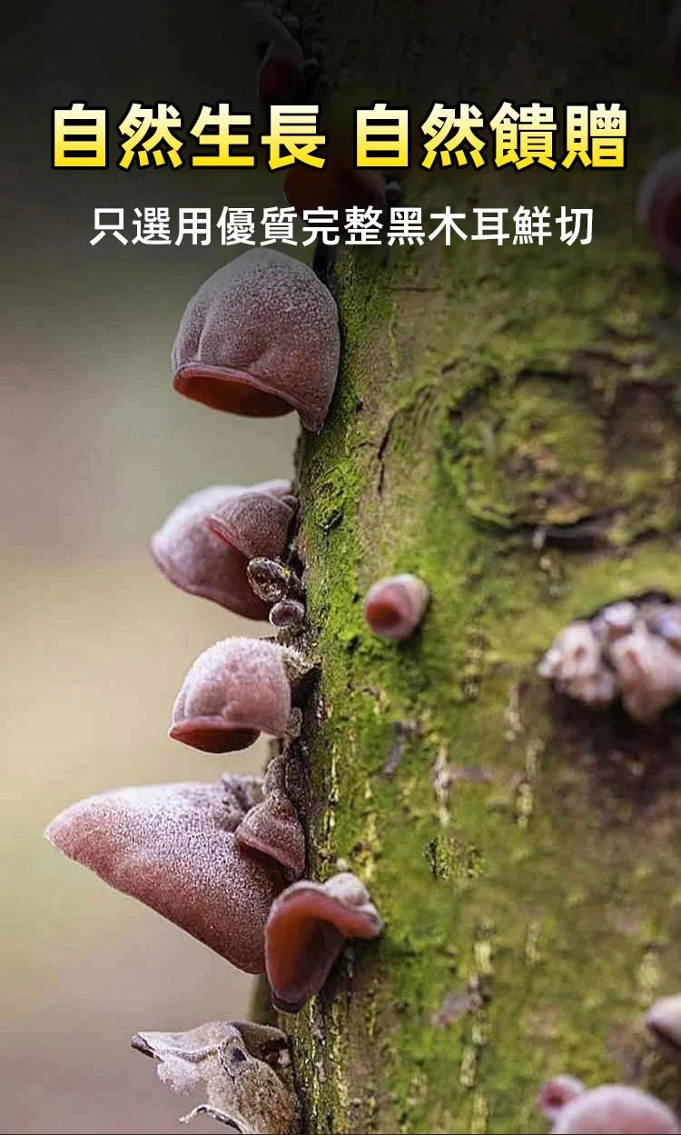 未标题-1(1)_11.jpg