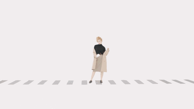 ZF_04-1.gif