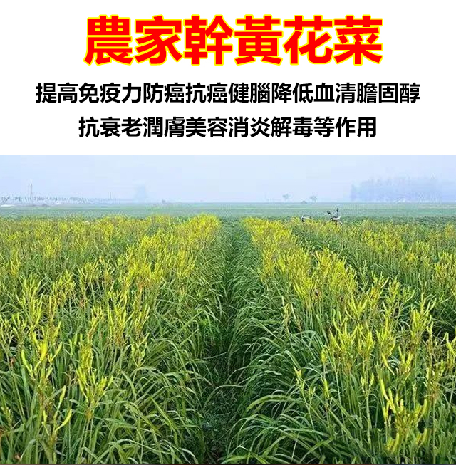 页面_03.jpg
