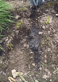 Honeycam-2024-06-27-15-44-21.gif