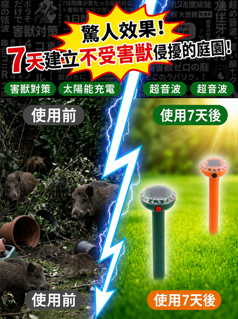 详情图11.png