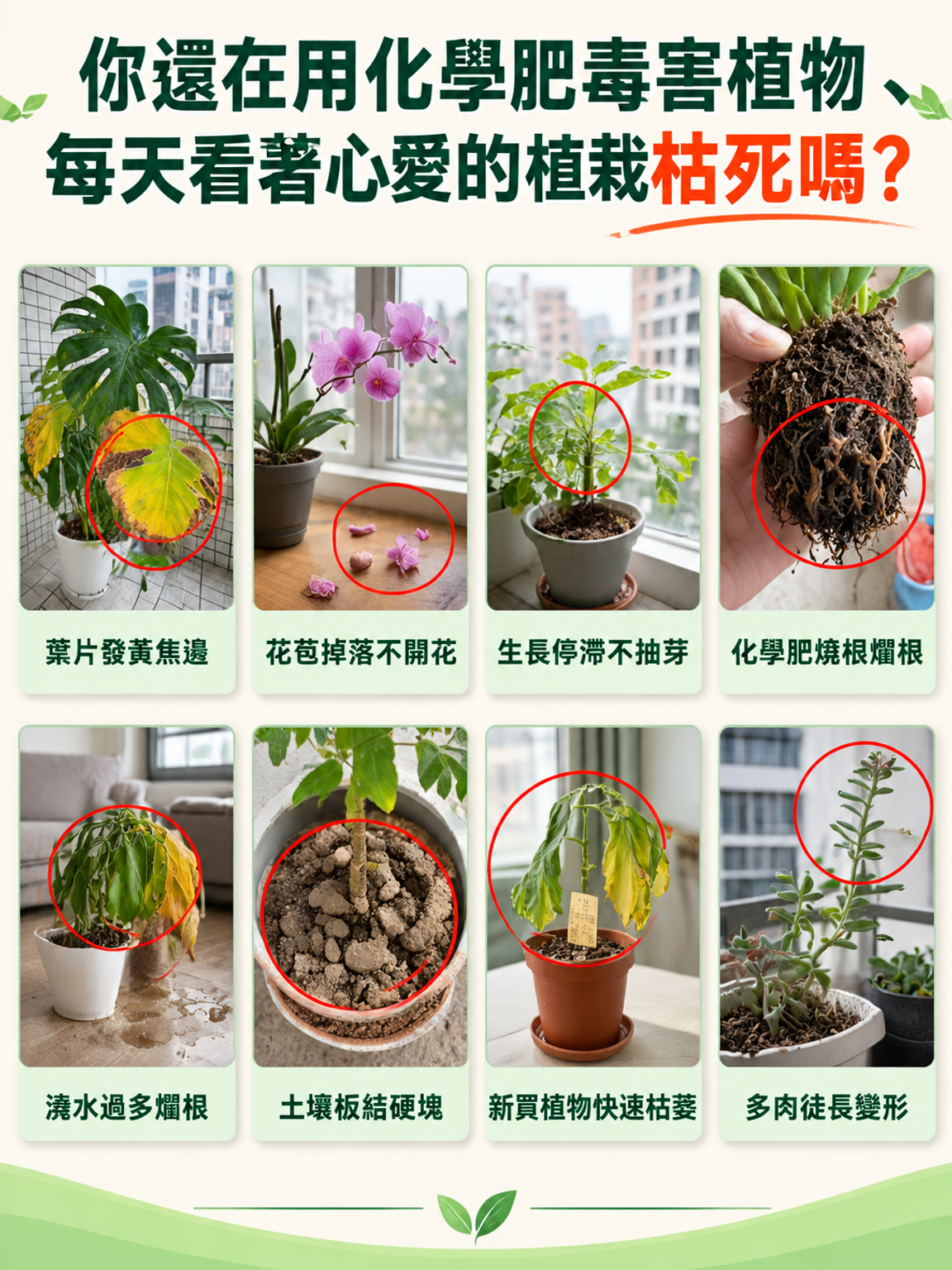 详情页2.png