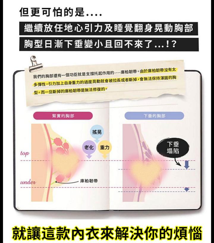 1月12日(1)-封面.jpg