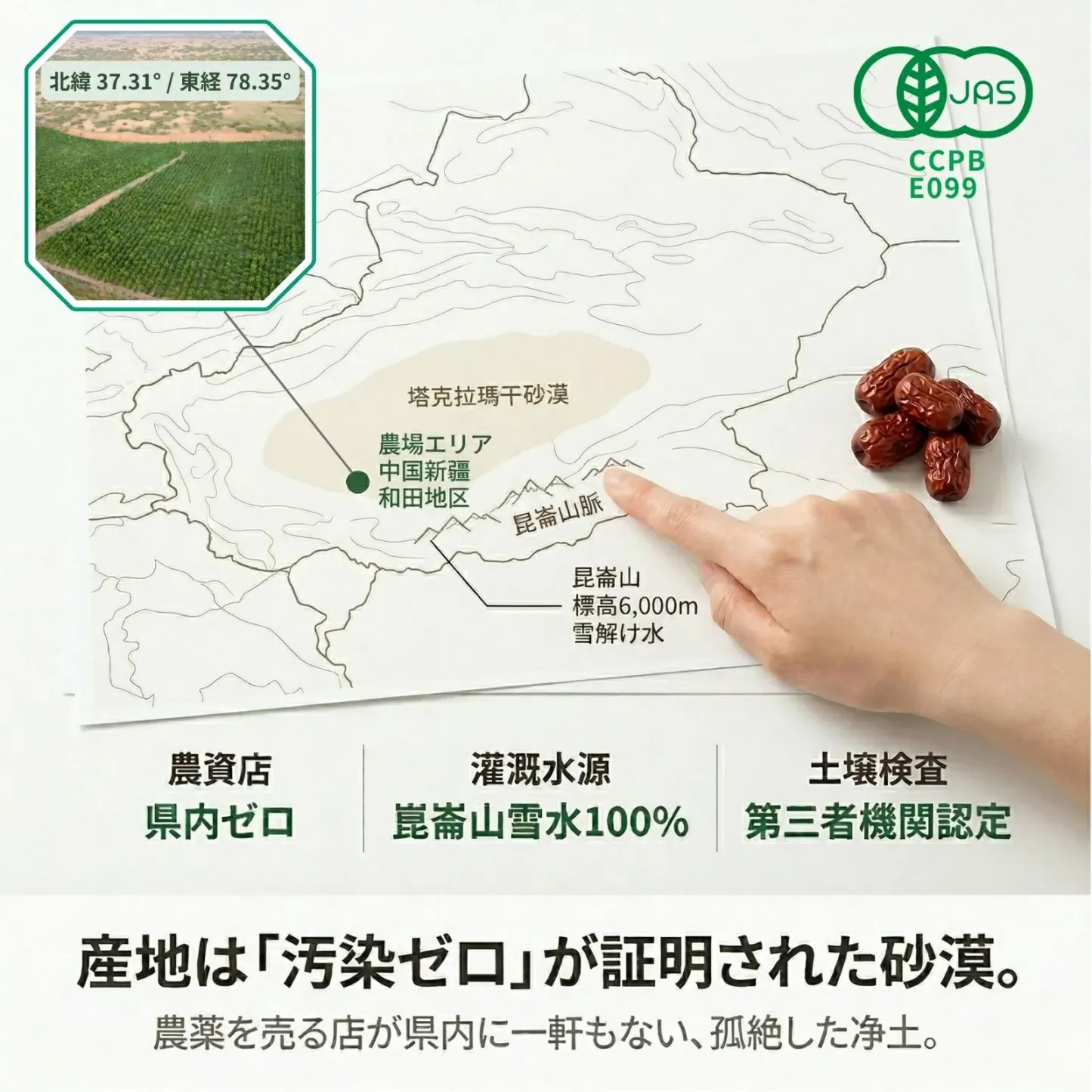 有機なつめの産地 中国・新疆和田の地図