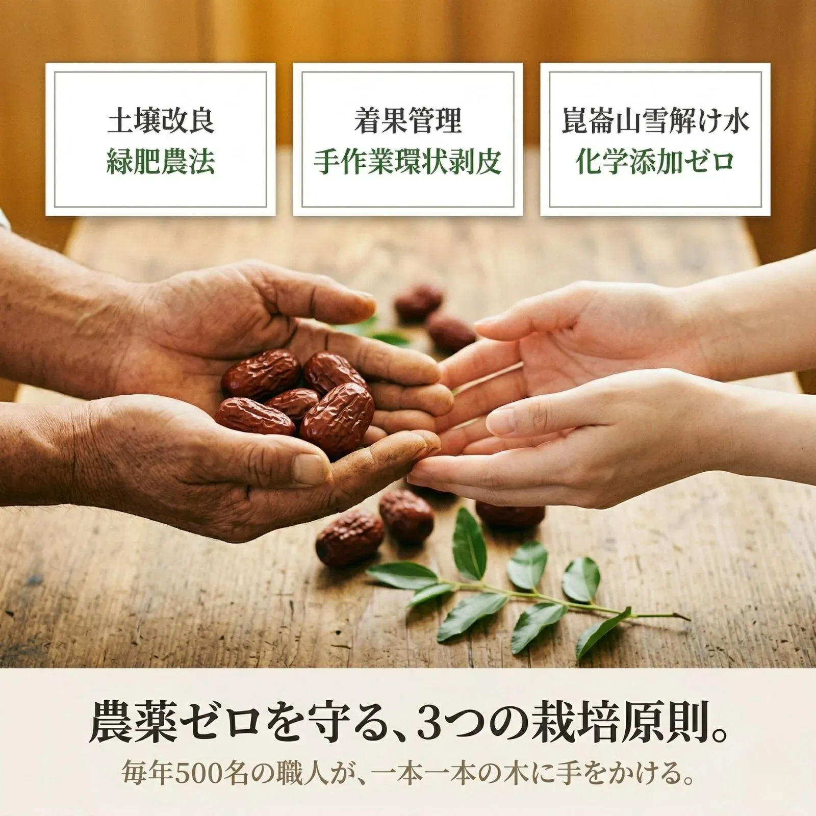 有機なつめの3つの栽培原則