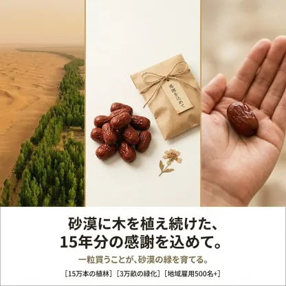 有機なつめの農園 砂漠に木を植えて15年