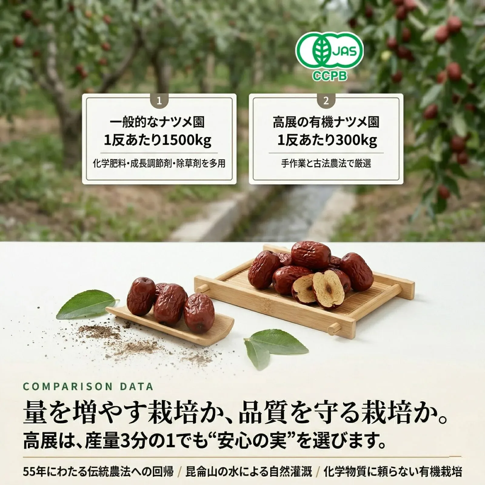 有機なつめ 量より品質を守る栽培