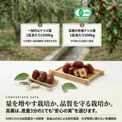 有機なつめ 量より品質を守る栽培