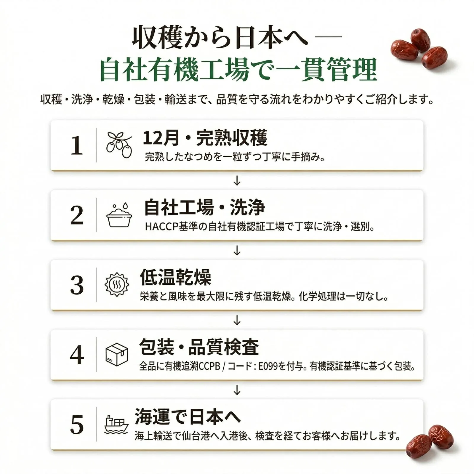 有機なつめ 収穫から自社有機工場・日本到着までの工程