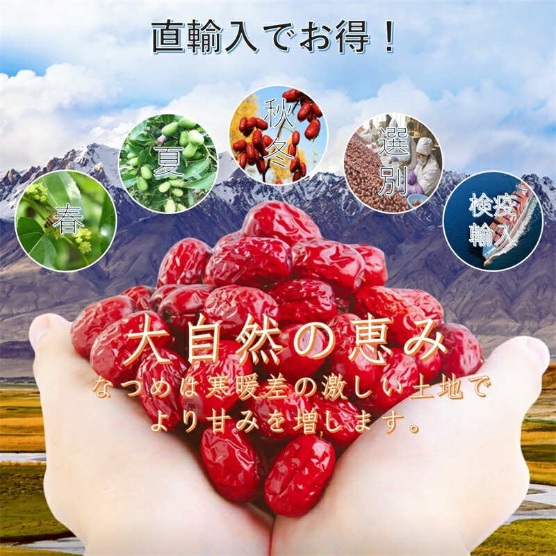 特選なつめ 200g 450g 1kg 無添加 無農薬 ナツメ ドライフルーツ 乾燥 大棗 薬膳 漢方 温活 自然乾燥 食物繊維 女神のなつめ 赤い実 訳あり スーパーフード 栄養 美味しい おやつ