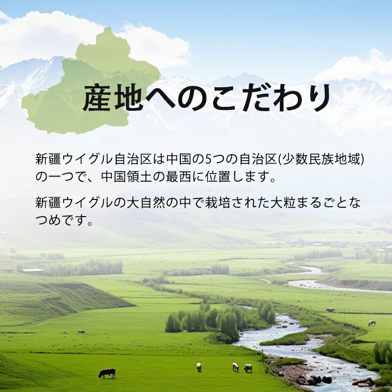 なつめチップス なつめ茶 無添加 健康食品 薬膳 ナツメ ドライ 化学肥料農薬不使用 食材 料理 栄養 低温乾燥 種抜き済み 油 砂糖など一切不使用
