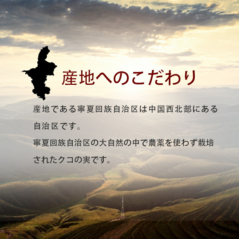 有機クコの実 無農薬 くこのみ オーガニック 100g 健康 お茶 ギフト 果物  美容 徳用 妊活 温活 薬膳 漢方 無添加 JAS 枸杞 ゴジベリー 赤い実 訳あり くこの実 クコノミ スーパーフード