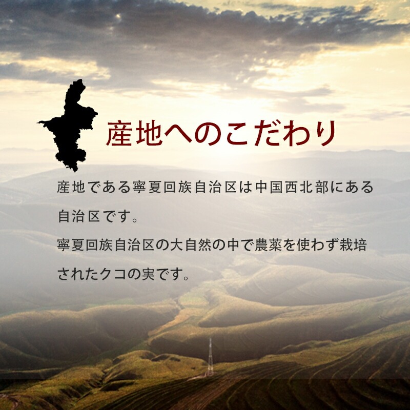 有機クコの実 無農薬 くこのみ オーガニック 100g 健康 お茶 ギフト 果物  美容 徳用 妊活 温活 薬膳 漢方 無添加 JAS 枸杞 ゴジベリー 赤い実 訳あり くこの実 クコノミ スーパーフード
