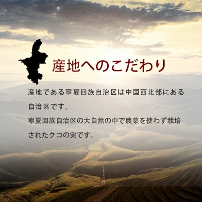 有機クコの実 無農薬 くこのみ オーガニック 100g 健康 お茶 ギフト 果物  美容 徳用 妊活 温活 薬膳 漢方 無添加 JAS 枸杞 ゴジベリー 赤い実 訳あり くこの実 クコノミ スーパーフード