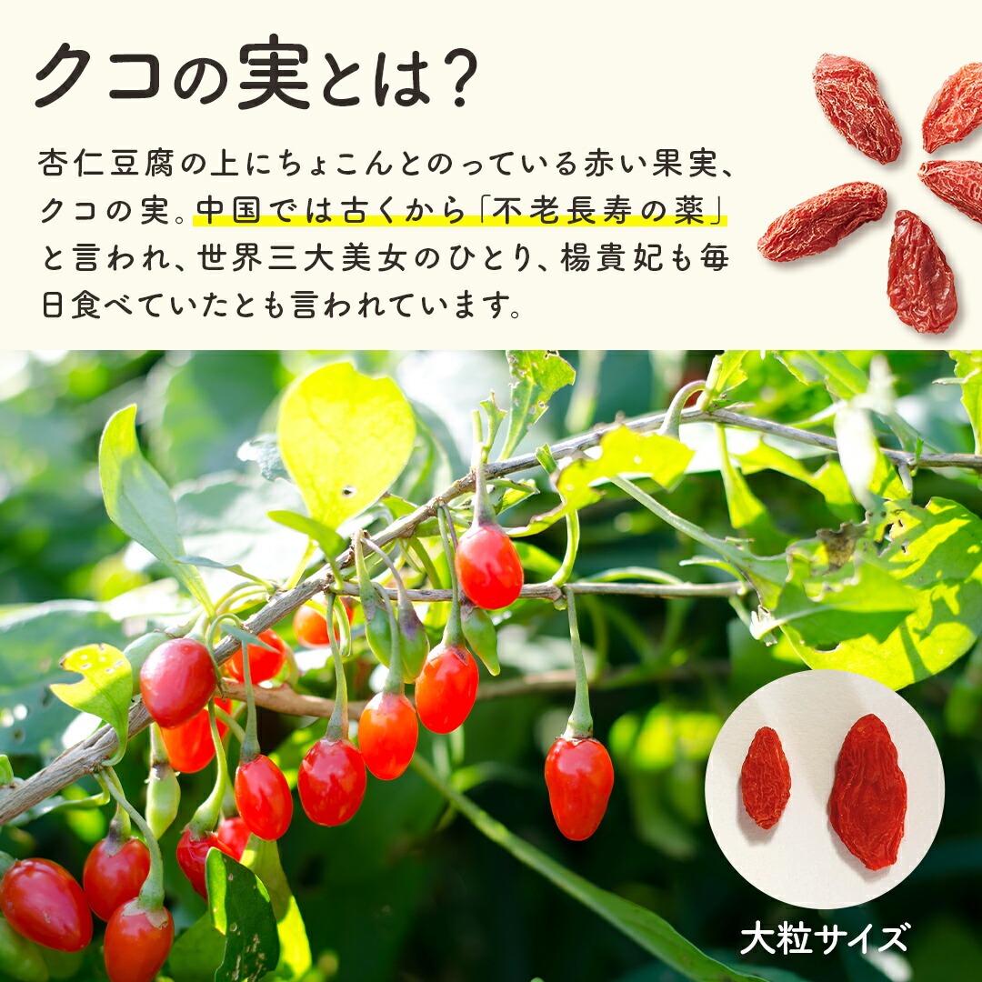 有機クコの実 無農薬 くこのみ オーガニック 100g 健康 お茶 ギフト 果物  美容 徳用 妊活 温活 薬膳 漢方 無添加 JAS 枸杞 ゴジベリー 赤い実 訳あり くこの実 クコノミ スーパーフード
