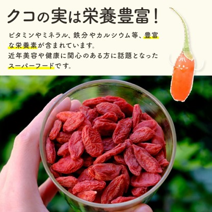 有機クコの実 無農薬 くこのみ オーガニック 100g 健康 お茶 ギフト 果物  美容 徳用 妊活 温活 薬膳 漢方 無添加 JAS 枸杞 ゴジベリー 赤い実 訳あり くこの実 クコノミ スーパーフード