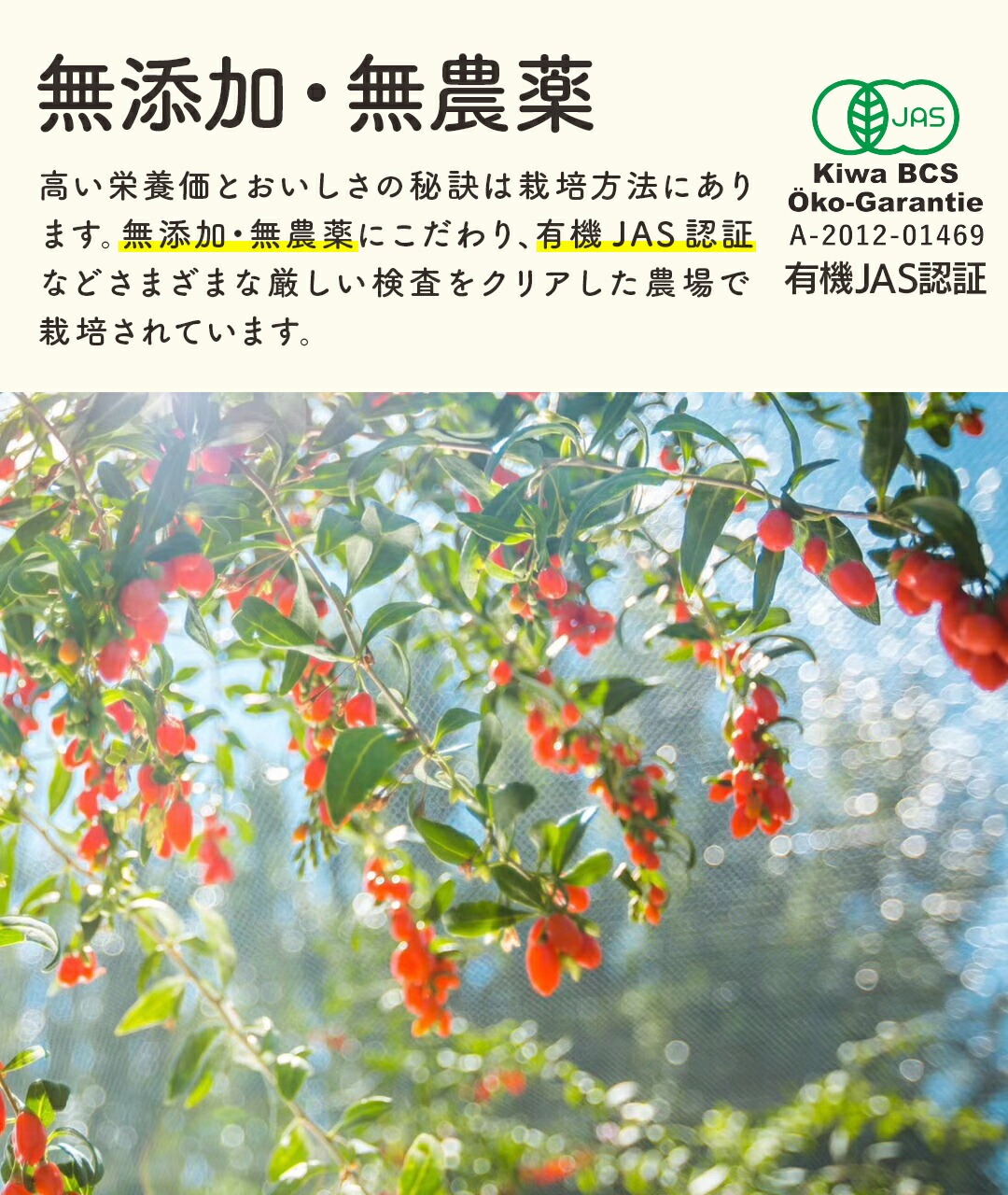 有機クコの実 無農薬 くこのみ オーガニック 100g 健康 お茶 ギフト 果物  美容 徳用 妊活 温活 薬膳 漢方 無添加 JAS 枸杞 ゴジベリー 赤い実 訳あり くこの実 クコノミ スーパーフード