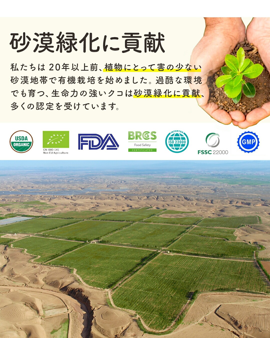 有機クコの実 無農薬 くこのみ オーガニック 100g 健康 お茶 ギフト 果物  美容 徳用 妊活 温活 薬膳 漢方 無添加 JAS 枸杞 ゴジベリー 赤い実 訳あり くこの実 クコノミ スーパーフード