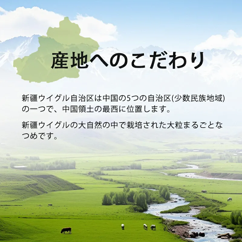 なつめ（特選）産地・中国 新疆ウイグル自治区の紹介