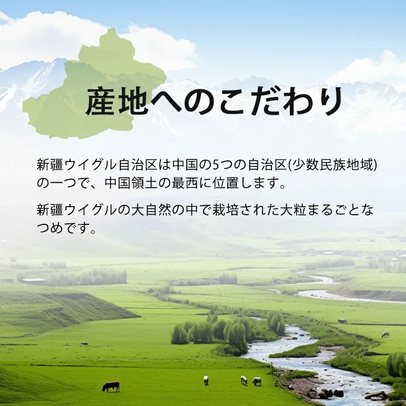 なつめ（特選）産地・中国 新疆ウイグル自治区の紹介