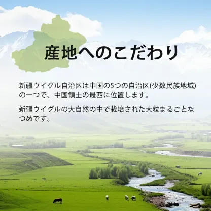 なつめ（特選）産地・中国 新疆ウイグル自治区の紹介