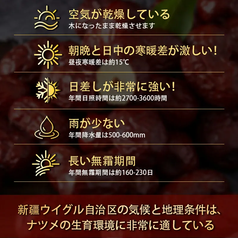 なつめ（特選）産地・新疆の気候と地理条件
