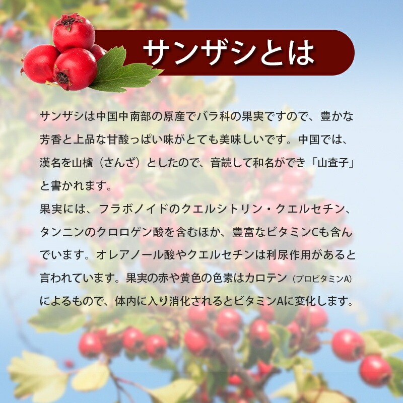 有機山査子 サンザシ 100g 無農薬 ドライ さんざし 化学肥料農薬不使用 無農薬 添加物一切不使用 薬膳茶 食材 料理 栄養をとじこめた低温乾燥 種抜き済み 父の日 送料無料