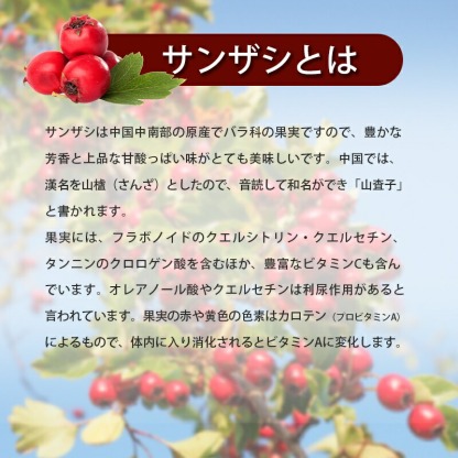 有機山査子 サンザシ 100g 無農薬 ドライ さんざし 化学肥料農薬不使用 無農薬 添加物一切不使用 薬膳茶 食材 料理 栄養をとじこめた低温乾燥 種抜き済み 父の日 送料無料