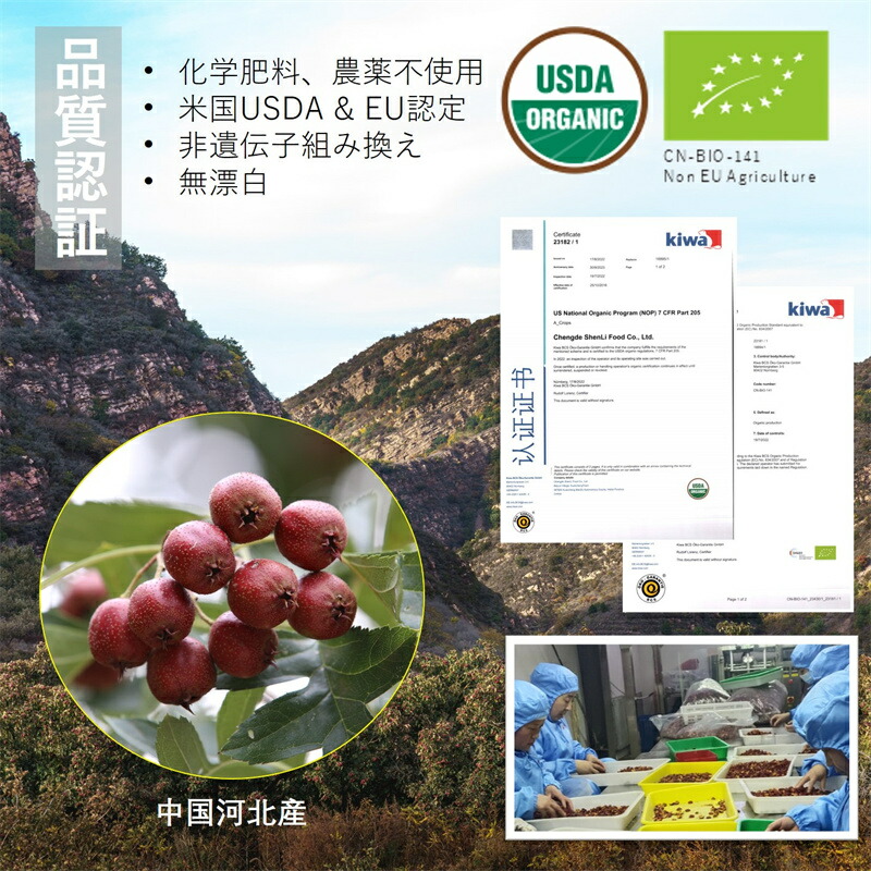 有機山査子 サンザシ 100g 無農薬 ドライ さんざし 化学肥料農薬不使用 無農薬 添加物一切不使用 薬膳茶 食材 料理 栄養をとじこめた低温乾燥 種抜き済み 父の日 送料無料