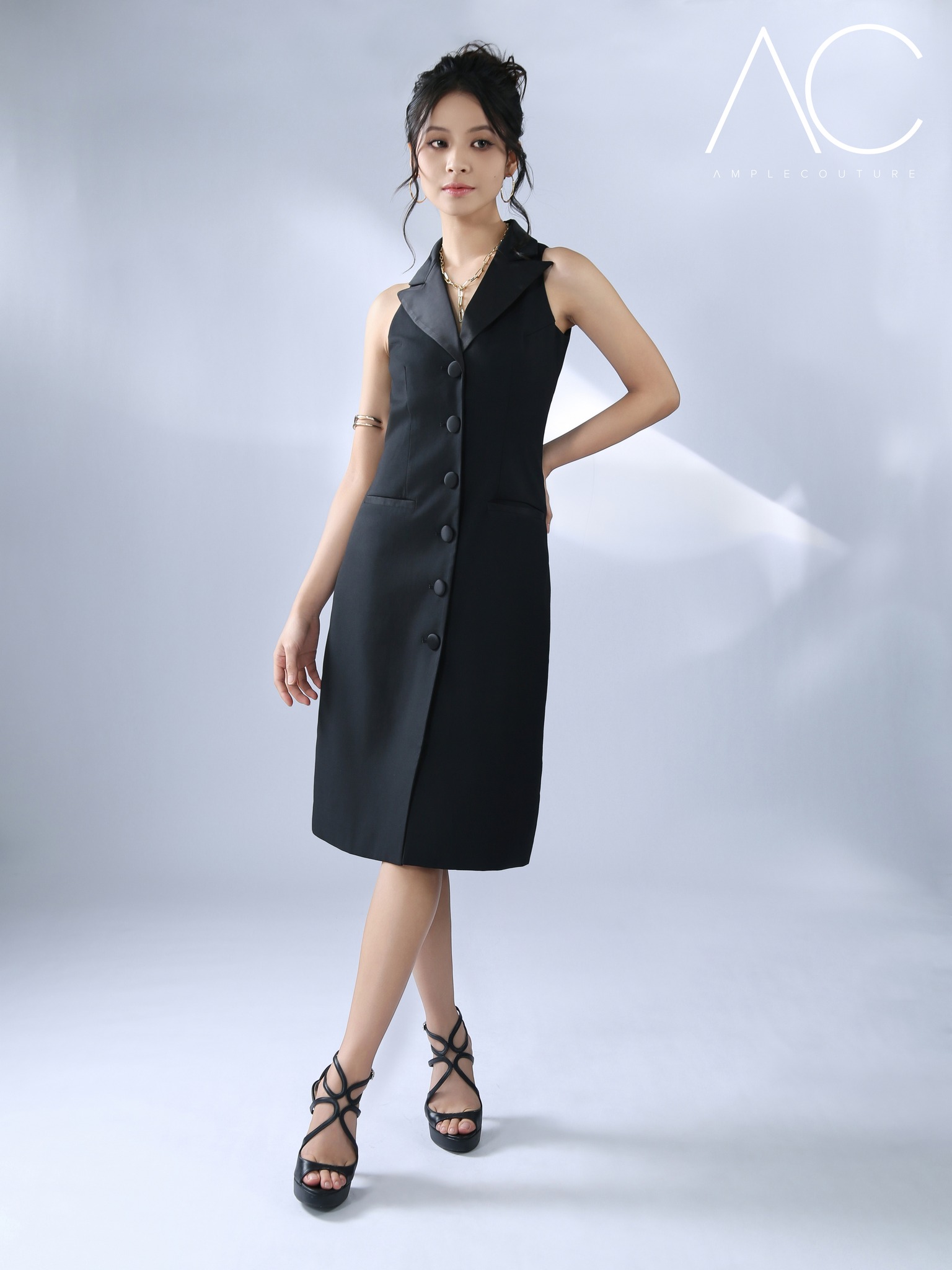 Elegant Dress AC557