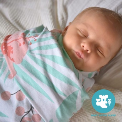 BabyLovesSleep Koala Hugs Newborn Island Dreams