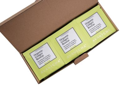 Organic Ginger Breeze Silk Teabags