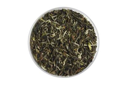 Darjeeling Spring Singell