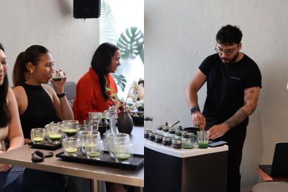 Explore Matcha Cultivars