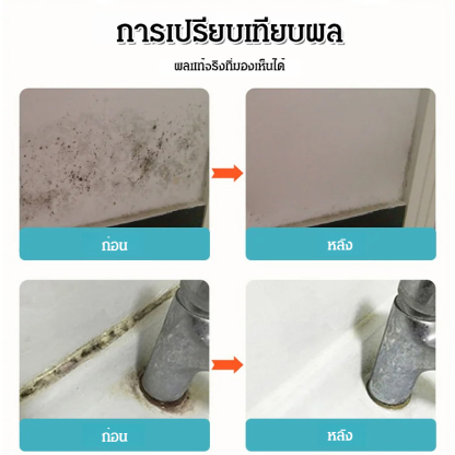 น้ำยากำจัดเชื้อราบนผนังทำความสะอาดผนัง