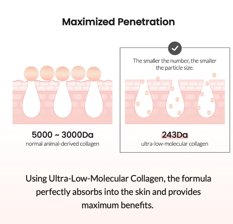 BIODANCE PORE TIGHTENING COLLAGEN AMPOULE 50ML  (KBD3)