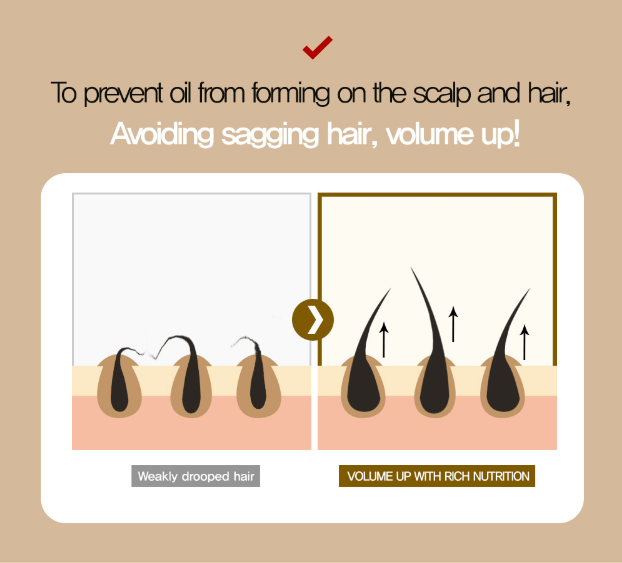 [S] MO.BAL.A DERMA HAIR CUSHION  (SIN134)