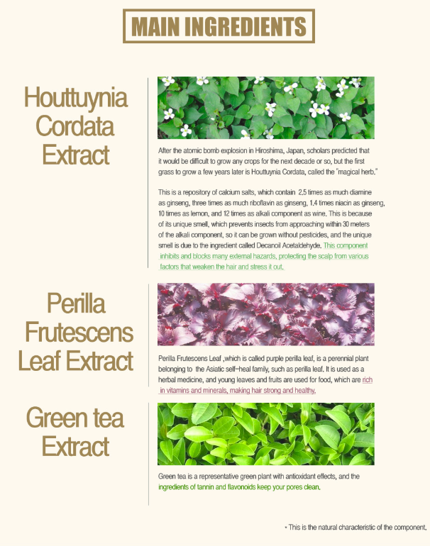 [S] MO.BAL.A DERMA HAIR CUSHION  (SIN134)