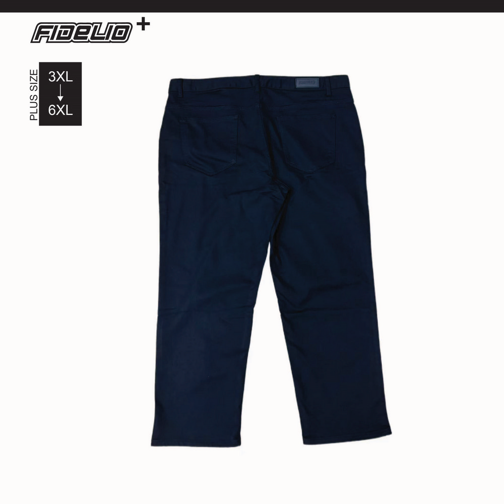 Fidelio Plus Size Black Denim